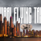Dubai Flying Taxis